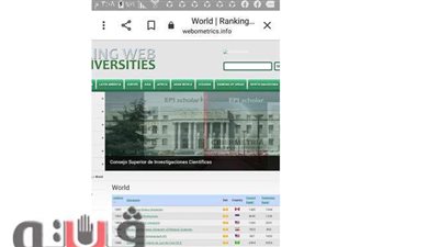جامعة كفر الشيخ تتقدم 213 مركزا عالميا بتصنيف ويبوميتركس الأسباني
