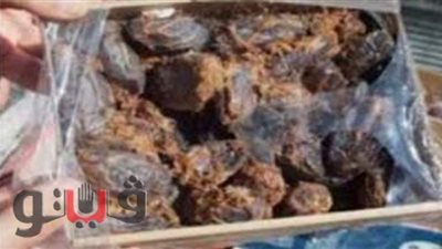ضبط طن بلح مجفف فاسد داخل مصنع تمور بدون ترخيص في الغربية