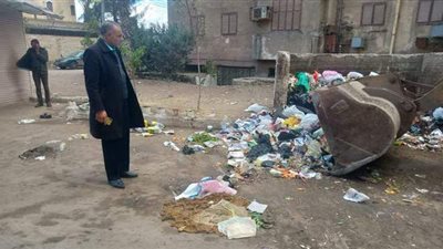 تفاصيل حملات مكثفة لرفع تلال القمامة بالمنصورة | صور