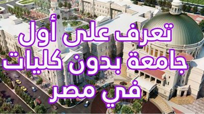 تعرف على أول جامعة بدون كليات في مصر | فيديوجراف