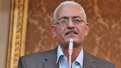 برلماني: تصفية الحديد والصلب لن يمر مرور الكرام والوزير سيُحاسب عليه