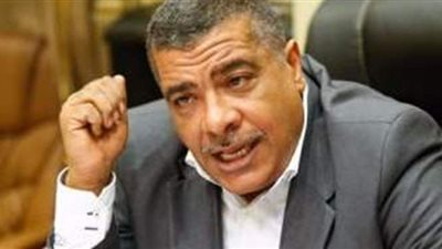 معتز محمود: مُقارنة أدوات الرقابة للبرلمان السابق والحالي ظُلم بيَّن