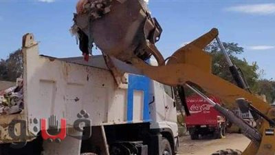 رفع ١٥ طنا من المخلفات عن قرية الحجاز في الإسماعيلية | صور
