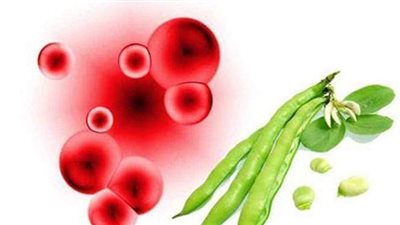 تعرف على أعراض أنيميا الفول.. وأسباب الإصابة وطرق العلاج