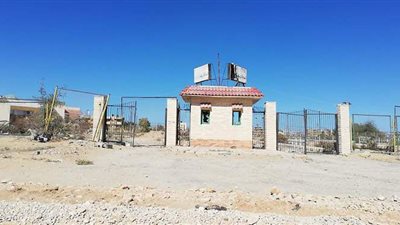 أصول غير مستغلة.. الساحة الرياضية بالعريش تسكنها الكلاب والغربان | صور