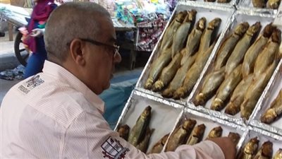 ضبط كميات من الأسماك والفسيخ غير صالحة بالإسكندرية