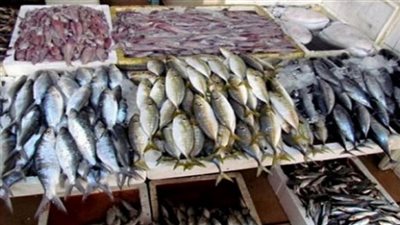 «شعبة الأسماك»: 2 مليار جنيه قيمة وارداتنا من الماكريل والسردين