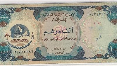 صندوق أبوظبى للتنمية: مولنا 17 مشروعا فى مصر بقيمة 3.3 مليارات درهم