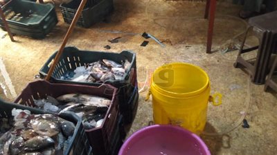 الفسيخ فيه سم قاتل.. 