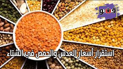 شعبة البقوليات: استقرار أسعار العدس والحمص في الشتاء