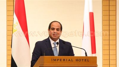 السيسي: مصر تسعى بخطوات ثابتة لتنويع اقتصادها