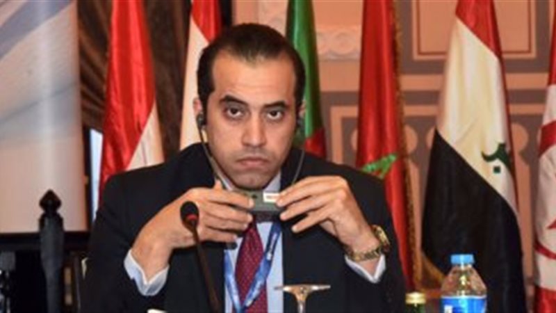  المستشار محمود فوزي