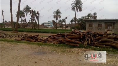 بالصور.. «نجع الحجيري» مصنع الأفكار المتطرفة في قنا