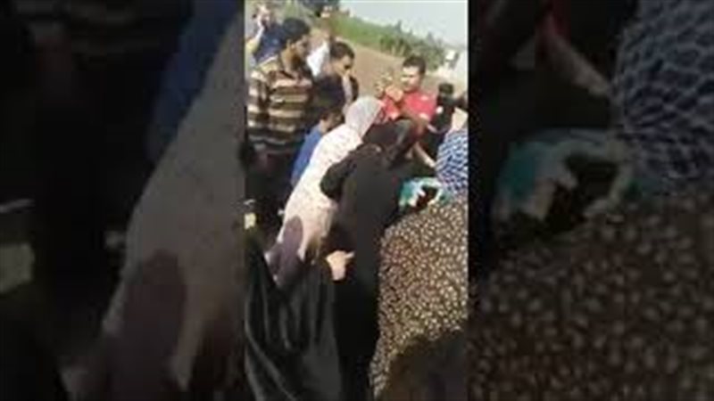 فيتو