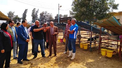 محافظ الشرقية للشباب: اقتدوا بنماذج المشروعات الاستثمارية الناجحة(صور)