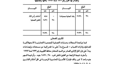تقرير تصفية الجمعية الاستهلاكية للعاملين بإدارة شباب طوخ