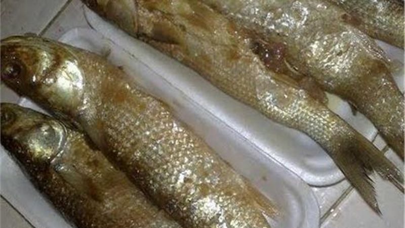 الفسيخ - أرشيفية