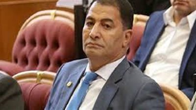 البدري ضيف يطالب باستدعاء وزير التموين بسبب الحذف العشوائى للبطاقات