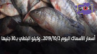أسعار الأسماك اليوم 2019/10/2.. وكيلو البلطي بـ30 جنيها