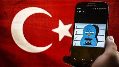 بالصور.. فنانو وطباخو تركيا يشاركون في الاستفتاء على تعديل الدستور