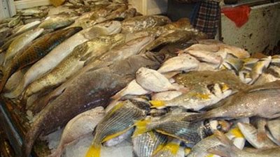 ضبط 3 أطنان أسماك مملحة غير صالحة للاستهلاك بالمنيا