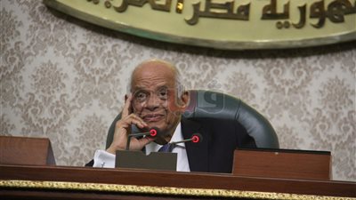 رئيس البرلمان: مصر تسير على الطريق الصحيح.. والهدف تعطيلها