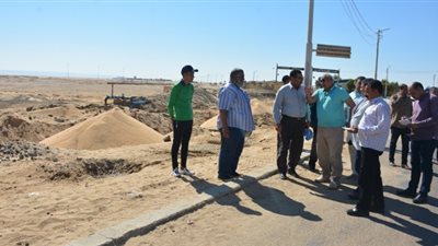 إطلاق مبادرة لزراعة 7 آلاف شجرة بالعيد القومي للوادى الجديد