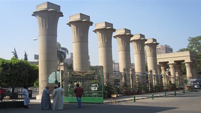 تنظيم دبلومة 