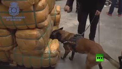 بالفيديو.. إسبانيا تضبط 20 ألف بدلة عسكرية قبل شحنها لـ«داعش»