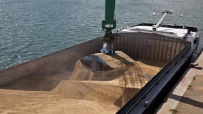 سرقة 12 ألف طن قمح محلي من صومعة المصرية العالمية بأكتوبر