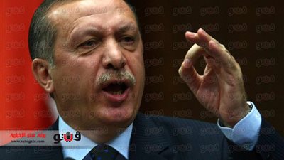 صحيفة تركية: أردوغان منع حماس من قبول المبادرة المصرية لوقف النار بعد لقاء مع الشيخ حمد.. ومنصور: الدوحة وأنقرة يتبعان سياسة أمريكا في تدمير العالم العربي.. نورهان الشيخ: الدولتان خططا لمؤامرة