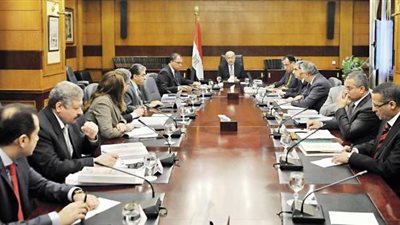 اليوم.. نظر دعوى فصل موظفي الإخوان من الجهاز الإداري للدولة