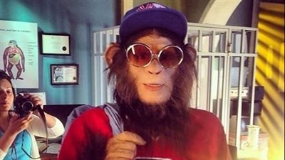 الانتهاء من تصوير «العملية ميسي» خلال يومين