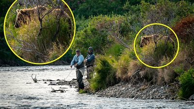 خطر يحيط برجلين دون أن يعلما ذلك (صور)