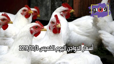 بورصة الدواجن العمومية.. اسعار الدواجن اليوم الخميس 2019/10/3