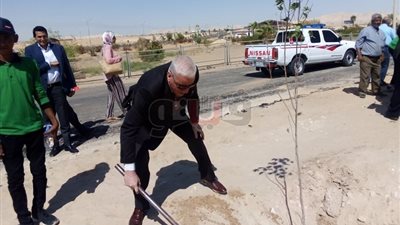 زراعة 7 آلاف شجرة احتفالا بالعيد القومي للوادي الجديد (صور)
