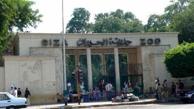 3 «خروجات» لا تفوتك في شم النسيم.. حديقة الحيوان تفتح المتحف الحيواني لعرض محنطات نادرة.. فتح جبلاية حديقة الأسماك لأول مرة بعد 5 سنوات.. ومعرض الزهور «بهجة وسرور» لزائري «الأ