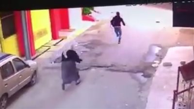 بالفيديو.. لصان يهاجمان امرأة ويسرقان حقيبتها بالمنصورة