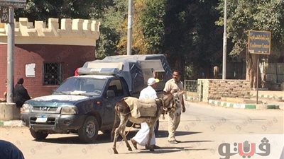 بالصور.. انتشار أفراد الأمن بالقناطر الخيرية لتأمين الزائرين