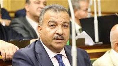 «صحة البرلمان»: قدمنا حلولا لنقص الأدوية والأزمة لازالت قائمة