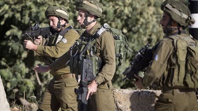 موقع عبري: إحباط محاولة تهريب أسلحة إلى إسرائيل عبر لبنان