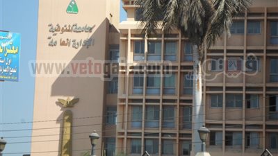 الشاى الأخضر 