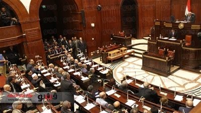 سلماوي: تحصيل الضرائب من المشروعات الاقتصادية للجيش ينظمه القانون