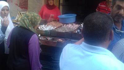 ضبط ١٥٠ كيلو فسيخ غير صالح بالعجمي (صور)