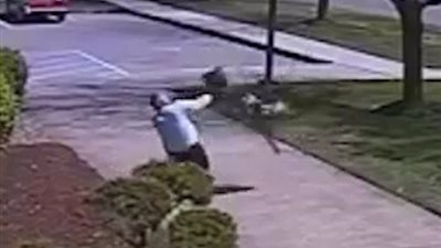 بالفيديو والصور.. «وزة» غاضبة تطارد شرطيا وتجبره على الهرب