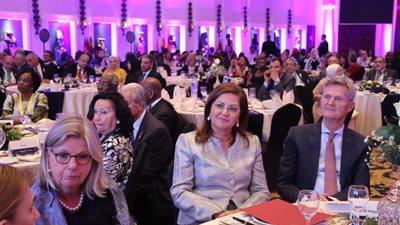 التخطيط: إجمالي استثمارات مصر بالقارة الأفريقية يصل إلى 10.2 مليار دولار