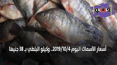 اسعار الأسماك اليوم 2019/10/4.. وكيلو البلطي بـ 38 جنيها