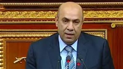 برلماني يطالب بالتدخل لإنهاء أزمة انفلات الأسعار