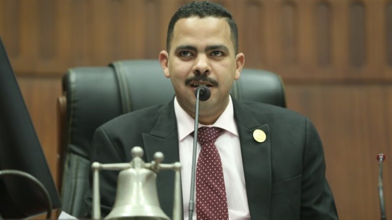 المهندس أشرف رشاد