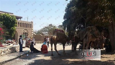 بالصور.. الخيول والجمال أبرز مظاهر احتفال شم النسيم في القناطر